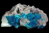 Vibrant Blue Cavansite Clusters on Stilbite - India #64798-2